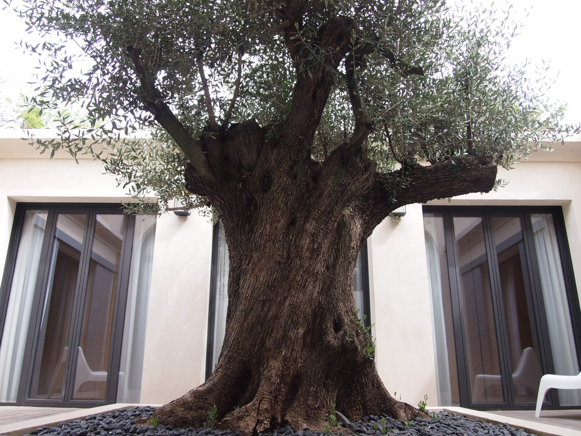 Villa de  Cap Ferret 