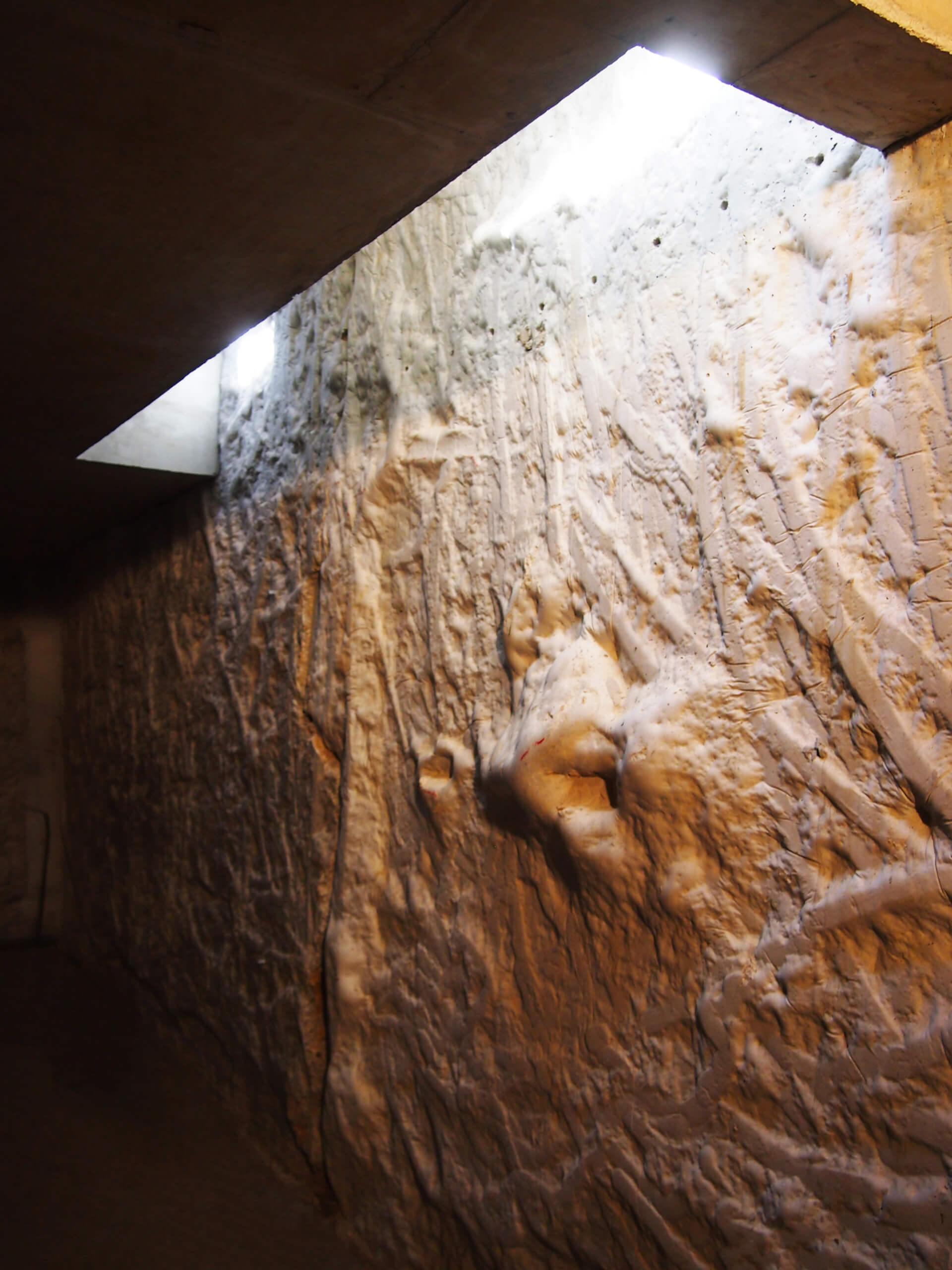 Villa de  Cap Ferret 